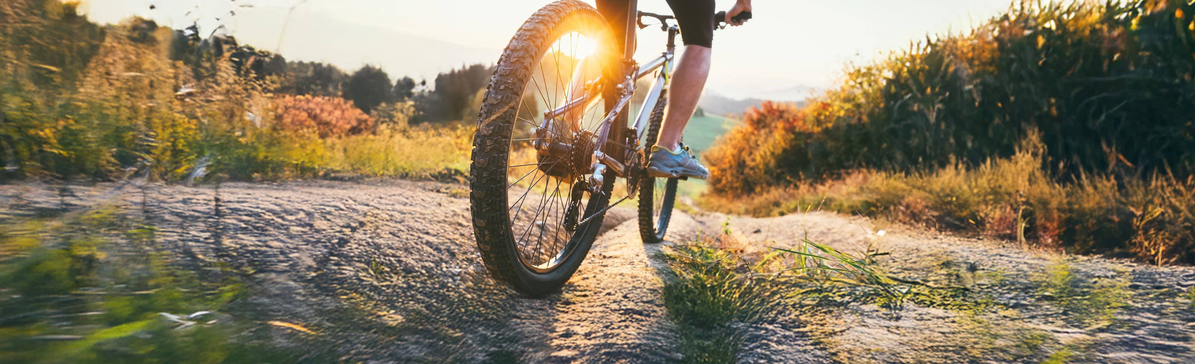 Jak vybrat správnou velikost kola I Europark