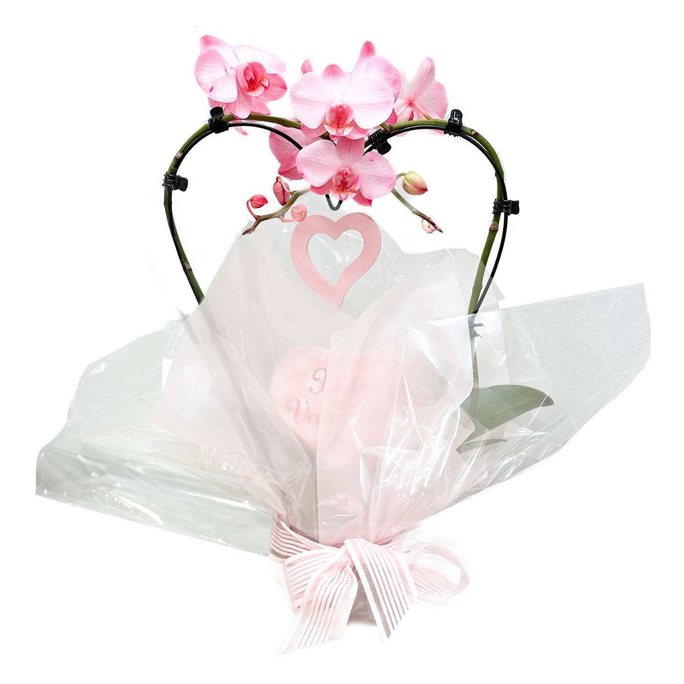 Nejlepší valentýnský dárek pro ženu I EUROPARK