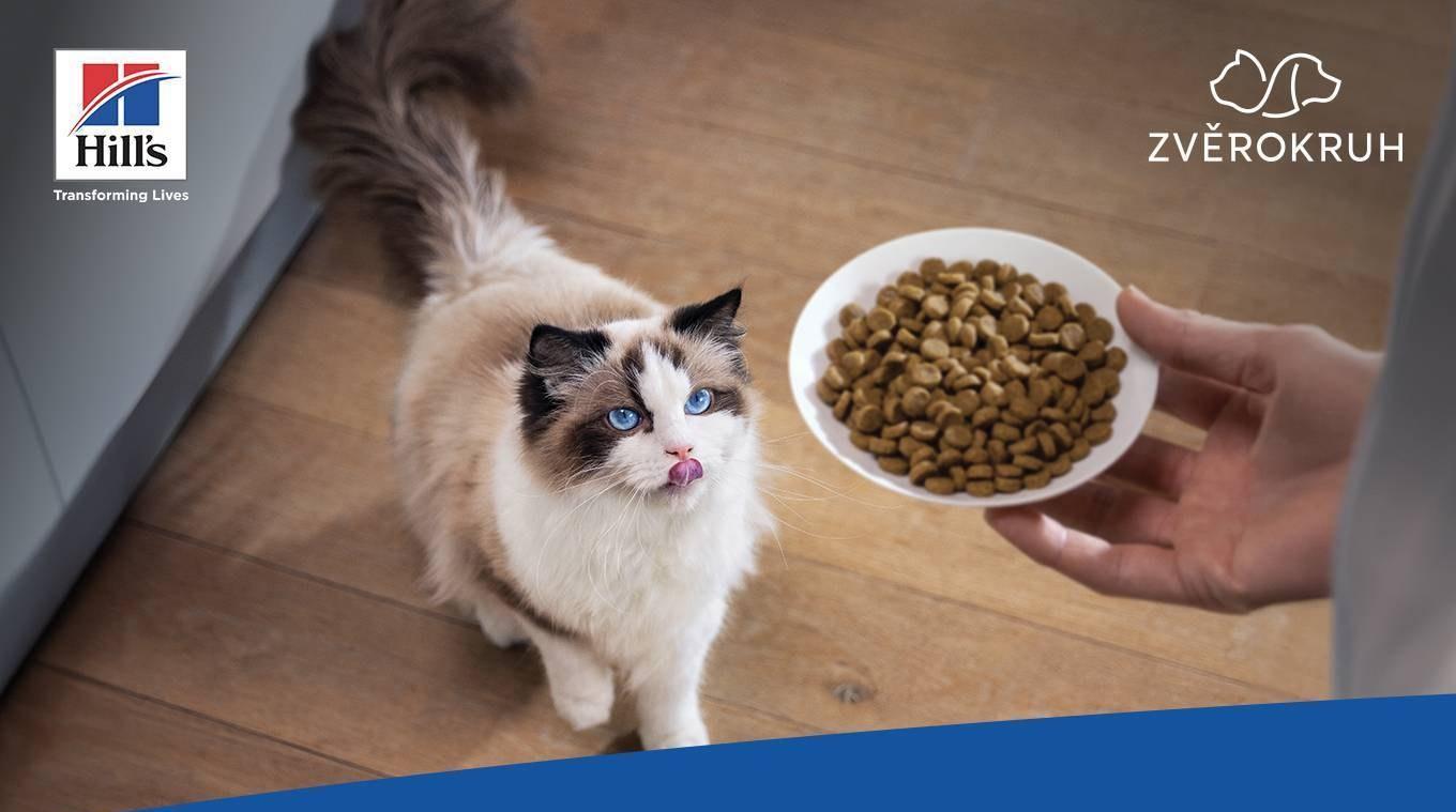 Dobrá rada nad zlato! | Obchodní centrum Europark