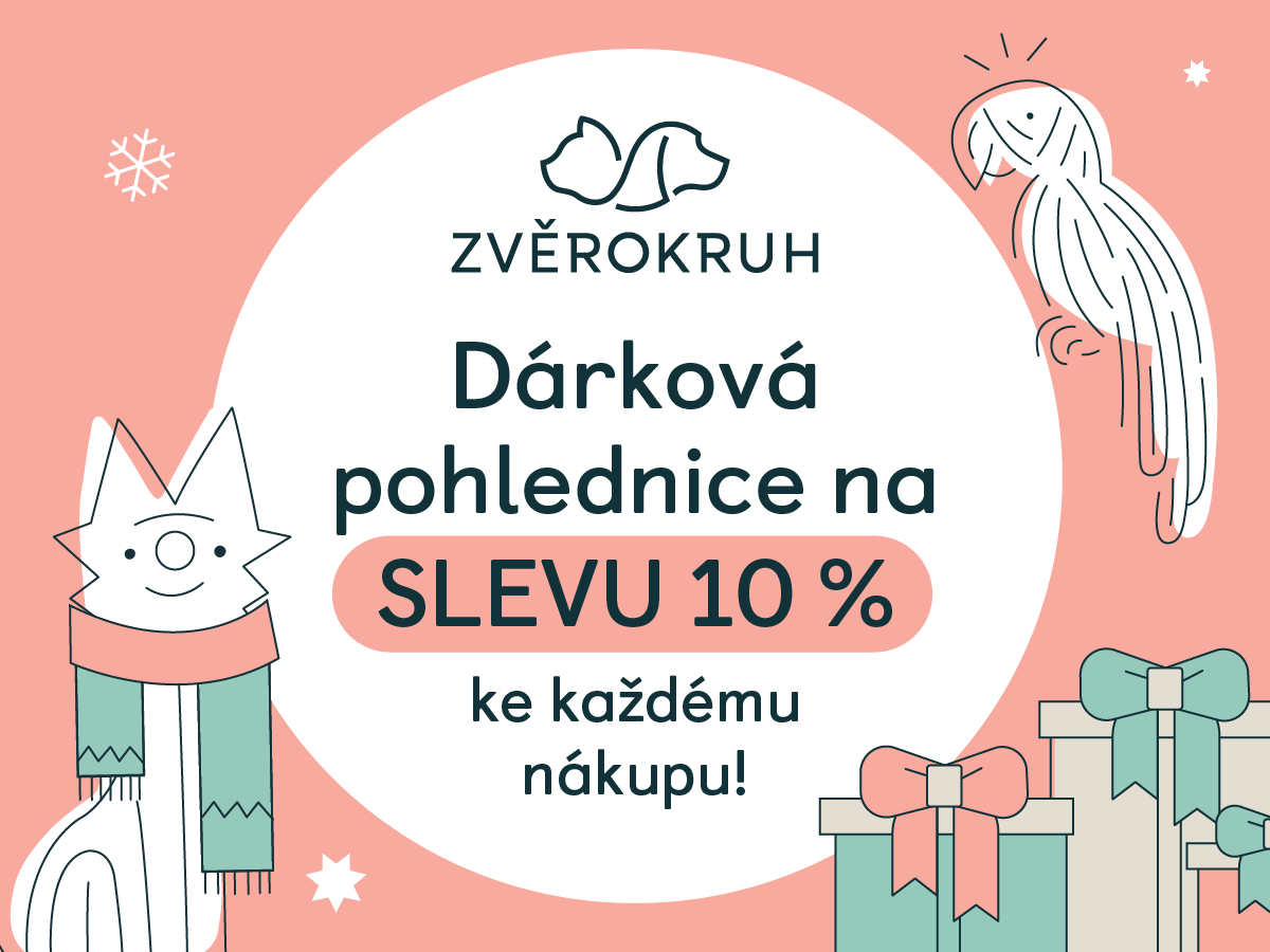 Akce na dárkové pohlednice | Obchodní centrum Europark