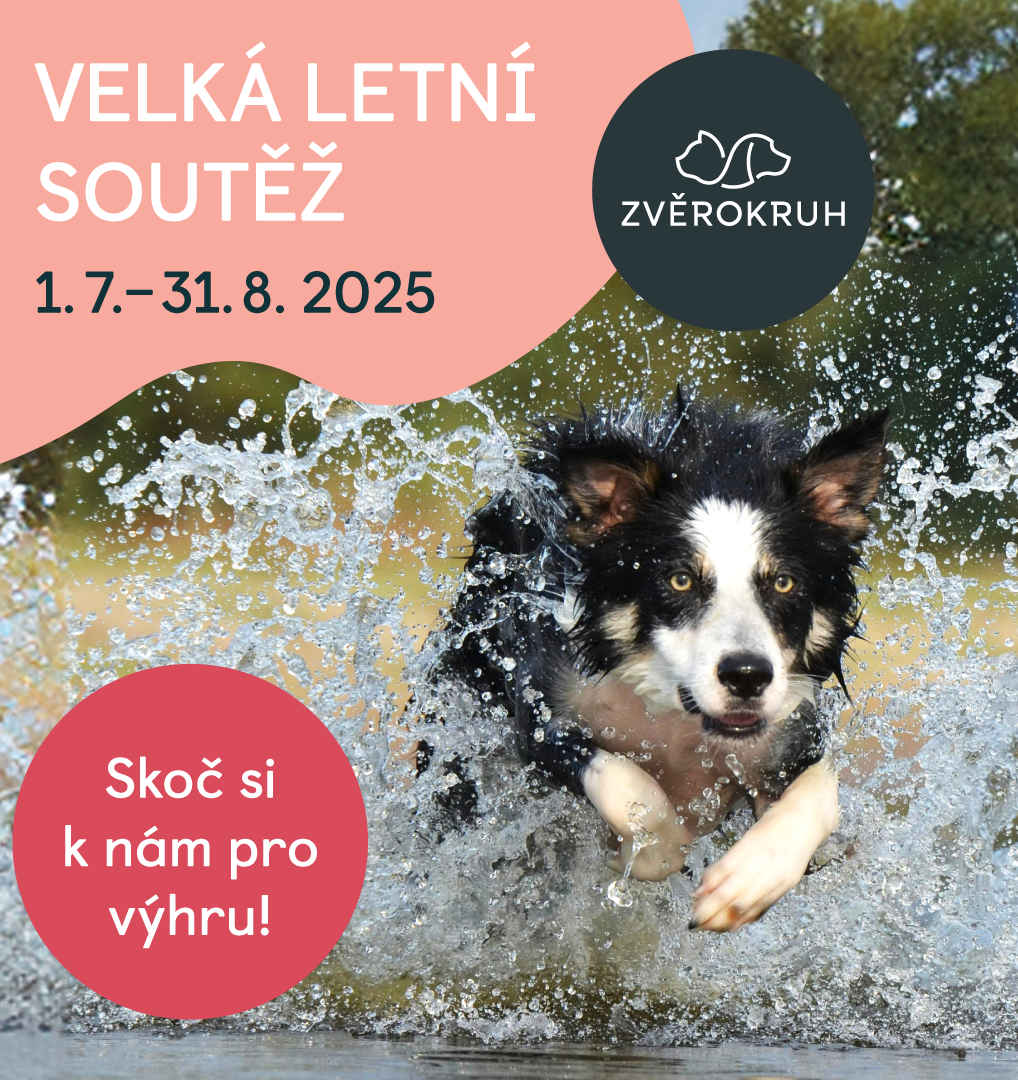 Velká letní soutěž! | Obchodní centrum Europark
