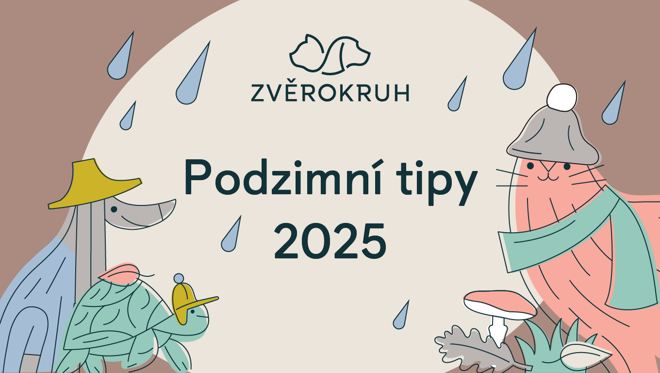 Novinky pro mazlíčky | Obchodní centrum Europark