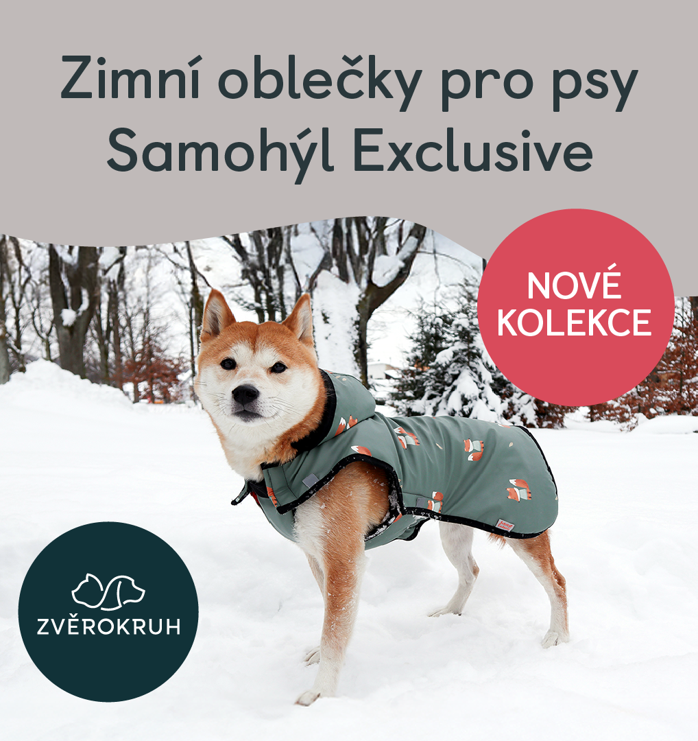 Stylová zima pro vašeho psa! | Obchodní centrum Europark