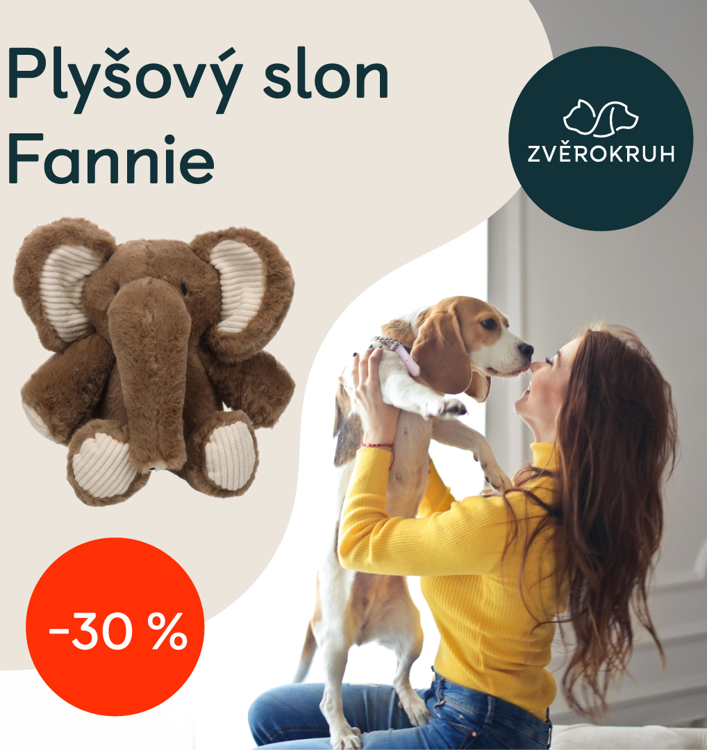 Lednová akční nabídka! | Obchodní centrum Europark