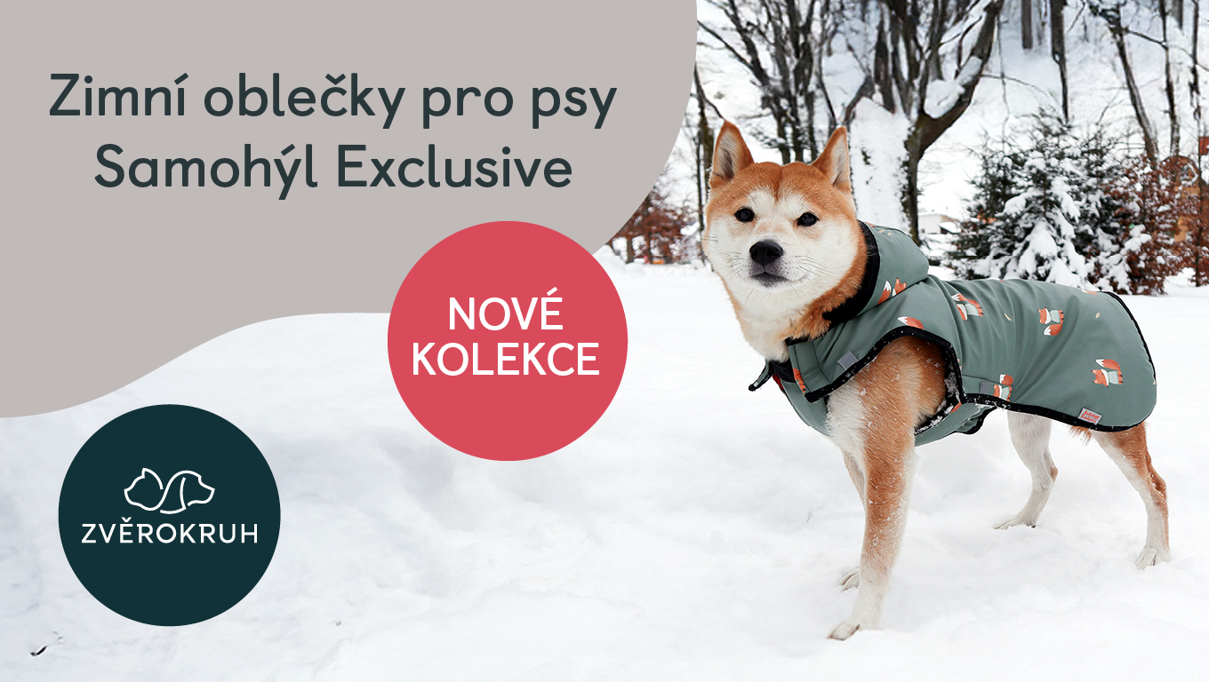 Stylová zima pro vašeho psa! | Obchodní centrum Europark