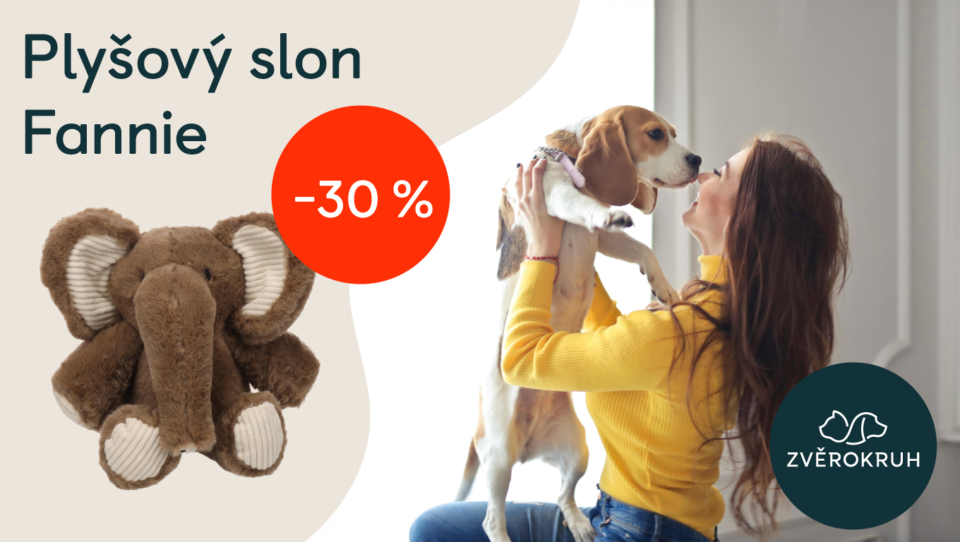 Lednová akční nabídka! | Obchodní centrum Europark