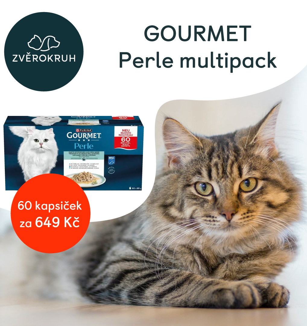 Využijte akční nabídky! | Obchodní centrum Europark