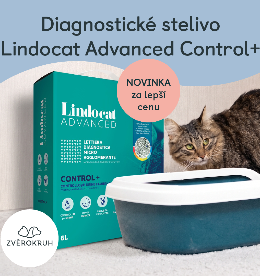 Červnová akce! | Obchodní centrum EUROPARK